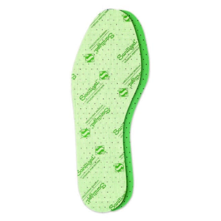 Easy Clorofilla dětská latexová stélka